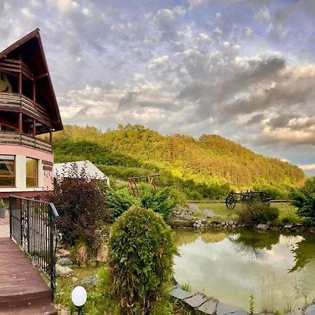 Pensiunea Armonia Nădăşelu Exterior foto