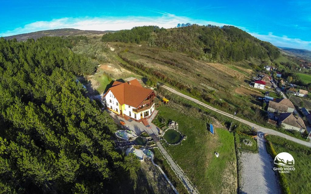 Pensiunea Armonia Nădăşelu Exterior foto